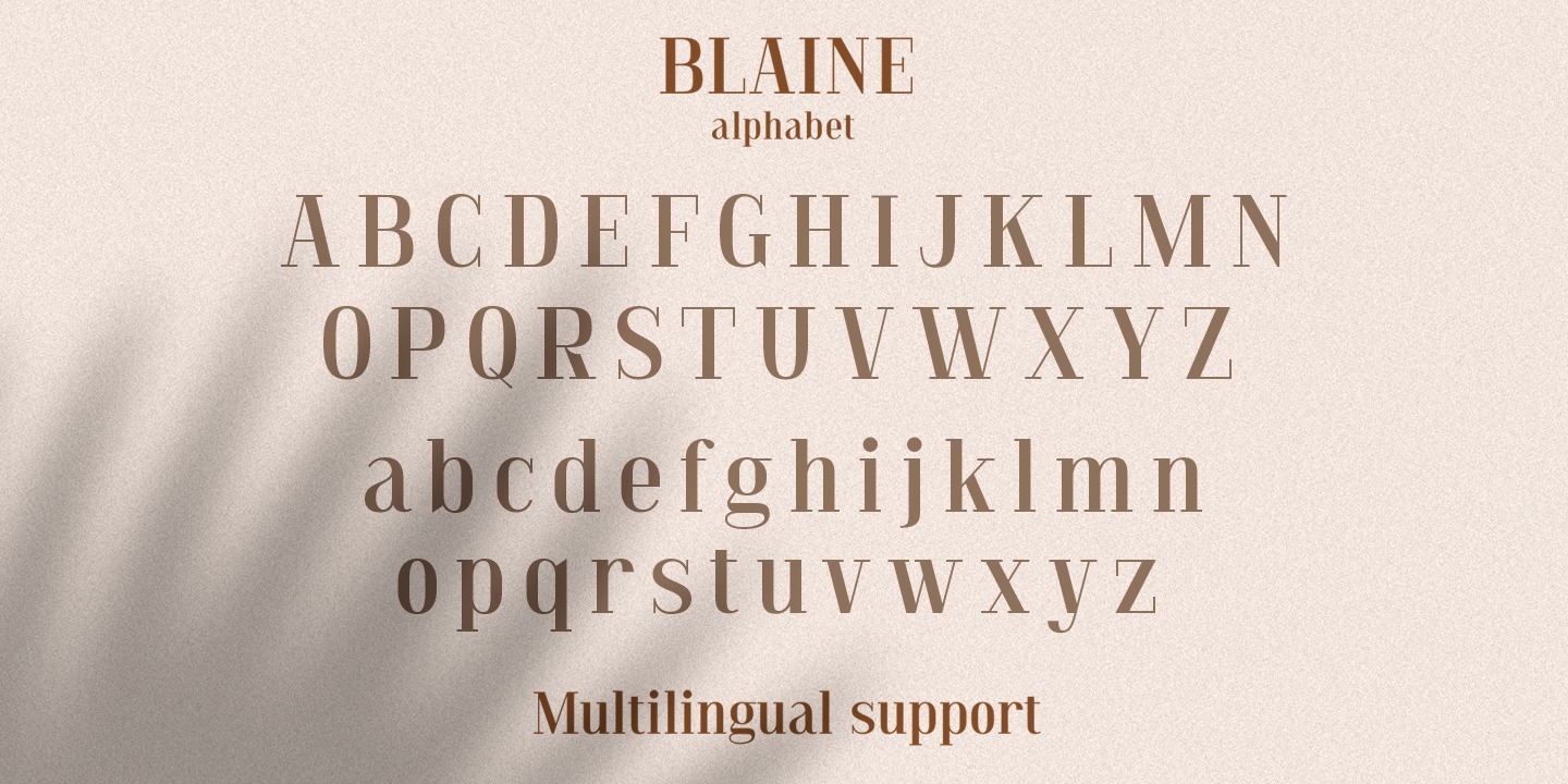 Beispiel einer Blaine Regular-Schriftart